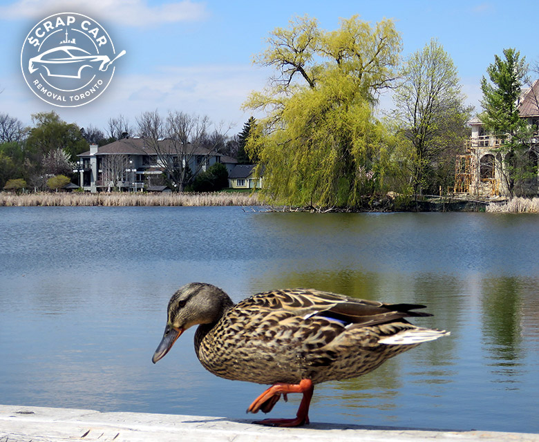 Thornhill Ontario Canada