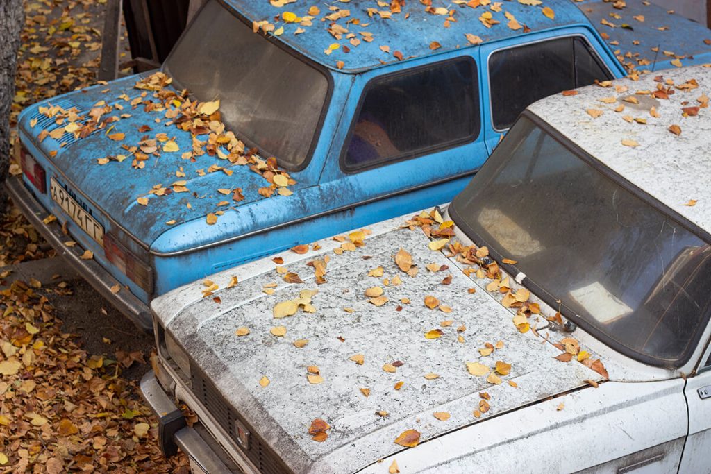 If You Are Replacing The Permit To Scrap The Car